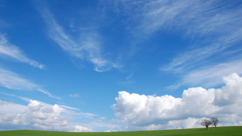リモートワークや打ち合わせに使える無料のバーチャル背景 青い空と巻雲と木 バーチャル背景のフリー素材集 V背景