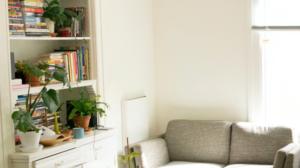本棚と観葉植物とソファーのある部屋の無料バーチャル背景素材
