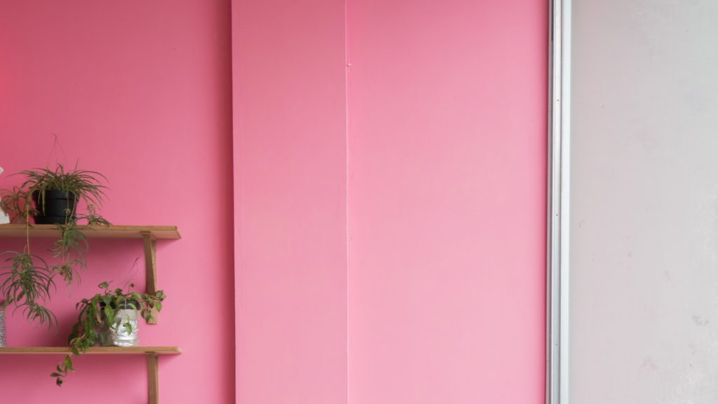 ピンクの壁と観葉植物の無料バーチャル背景素材