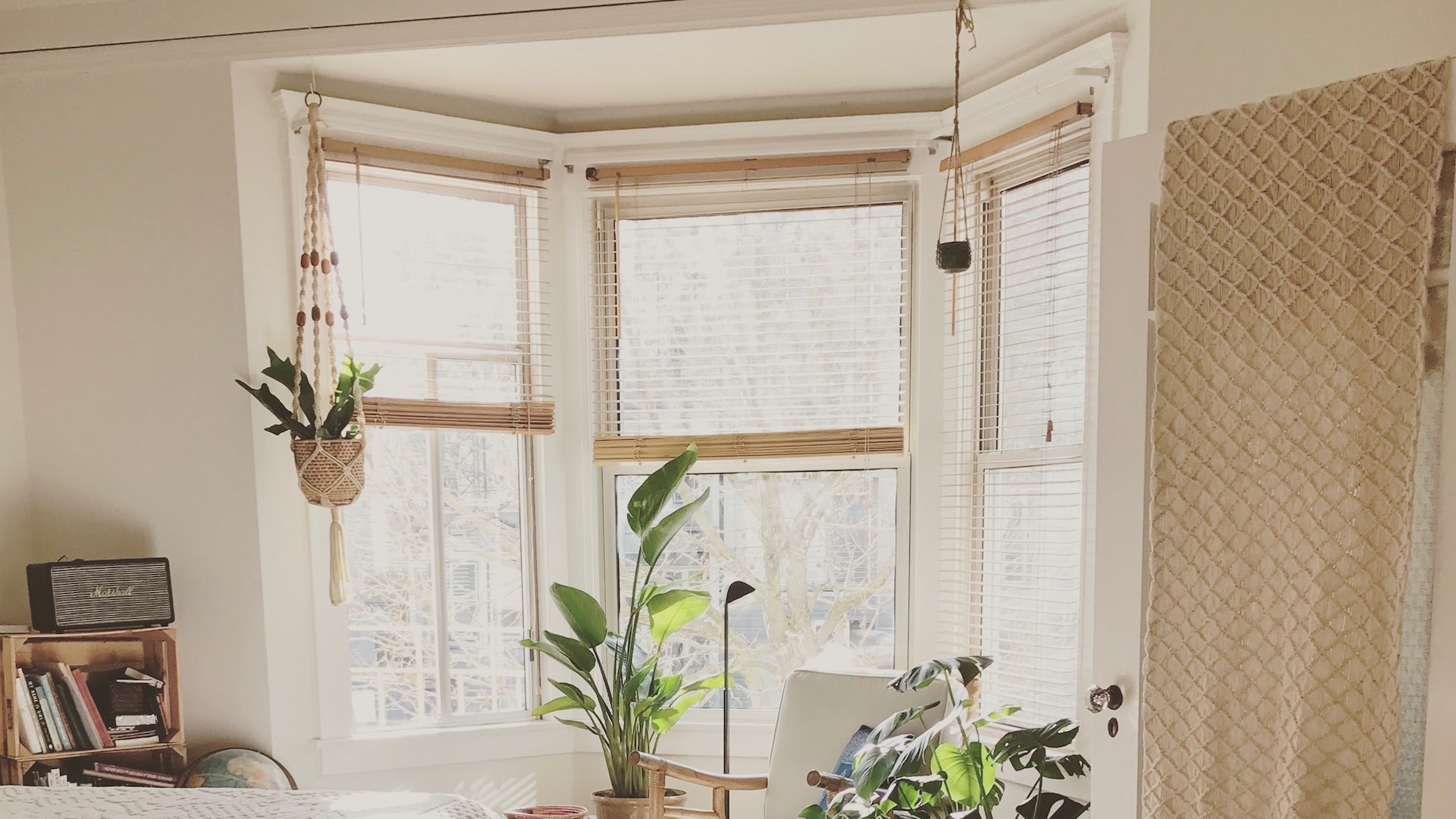 大きな窓とたくさんの観葉植物のある部屋の無料バーチャル背景素材