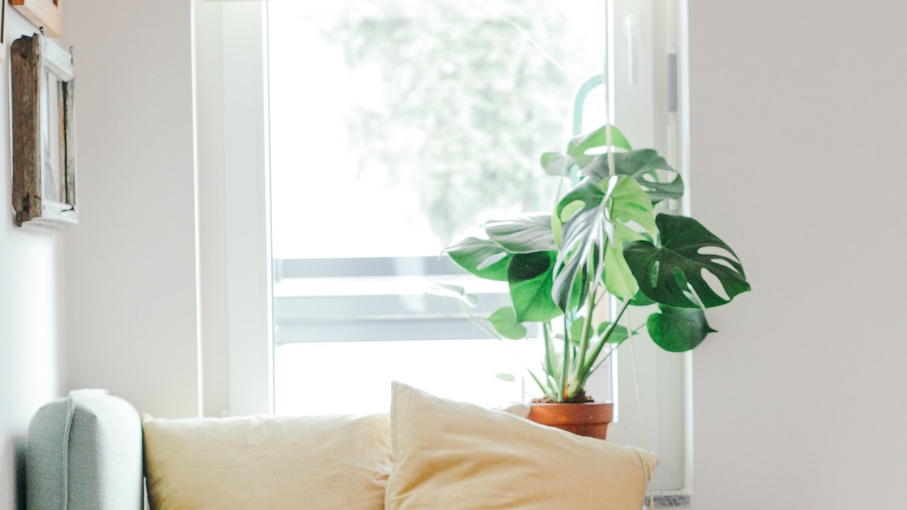 大きな窓とソファと観葉植物の無料バーチャル背景素材