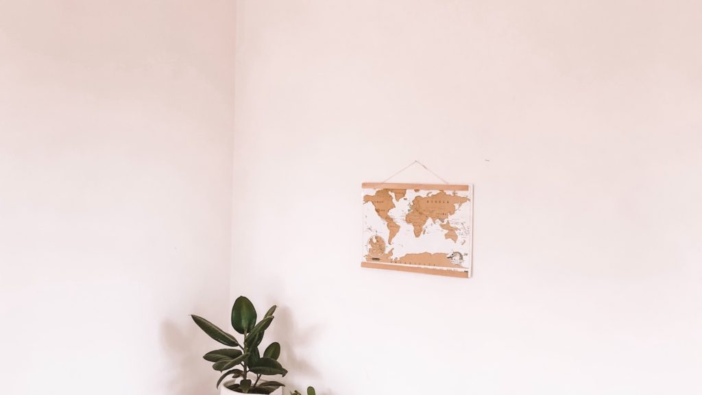 観葉植物と薄いピンクの壁