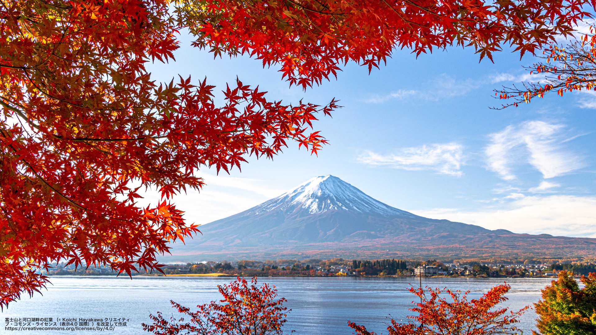 富士山と河口湖畔の紅葉 （山梨県）
