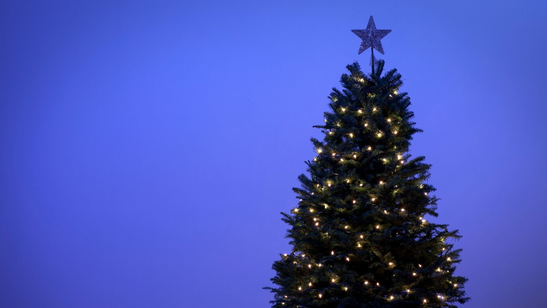 青い背景とクリスマスツリー