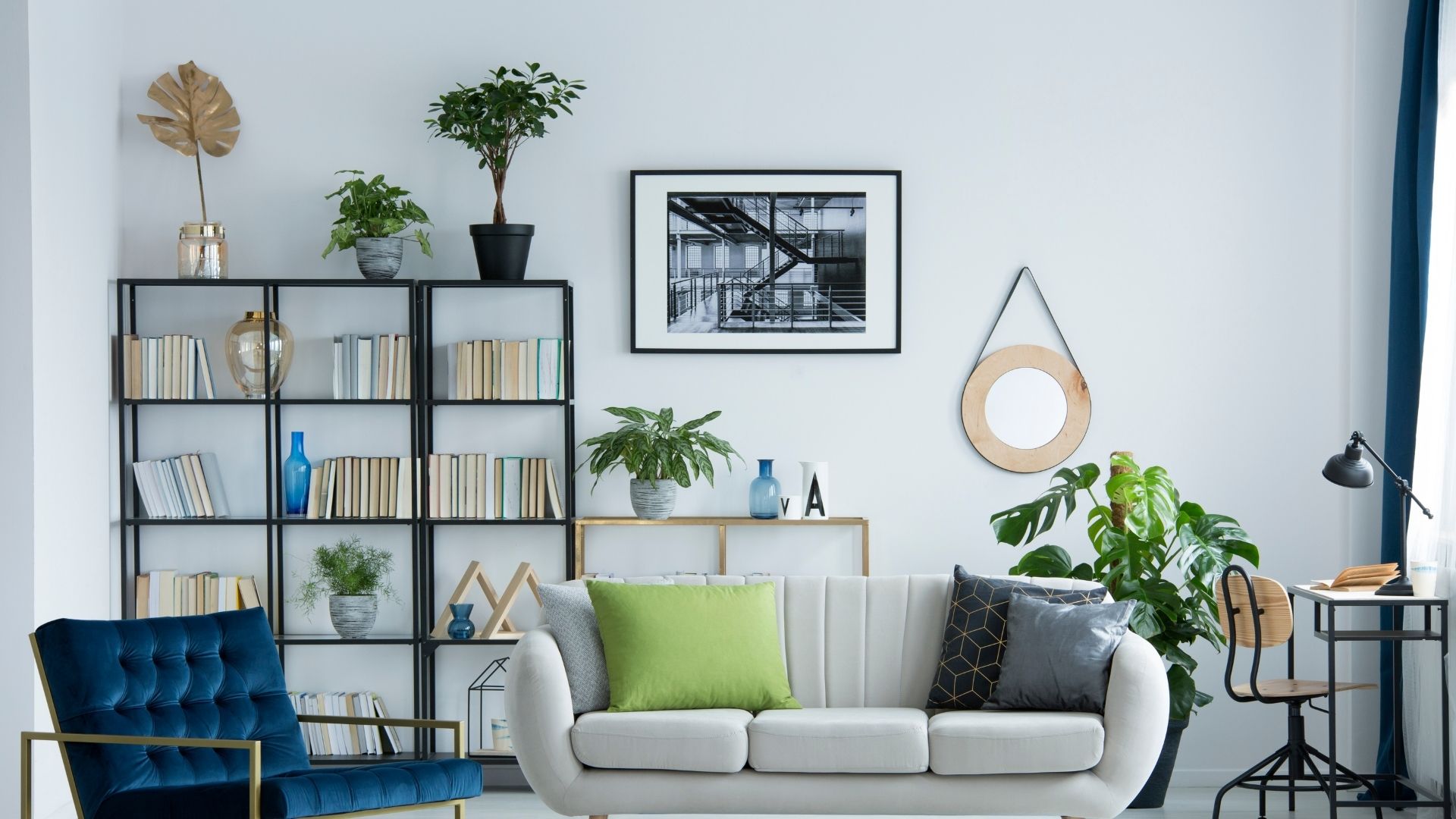 本棚と観葉植物と白いソファーのある部屋