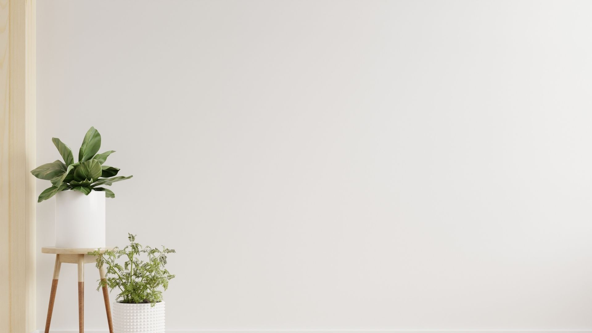 白い壁と二つの観葉植物
