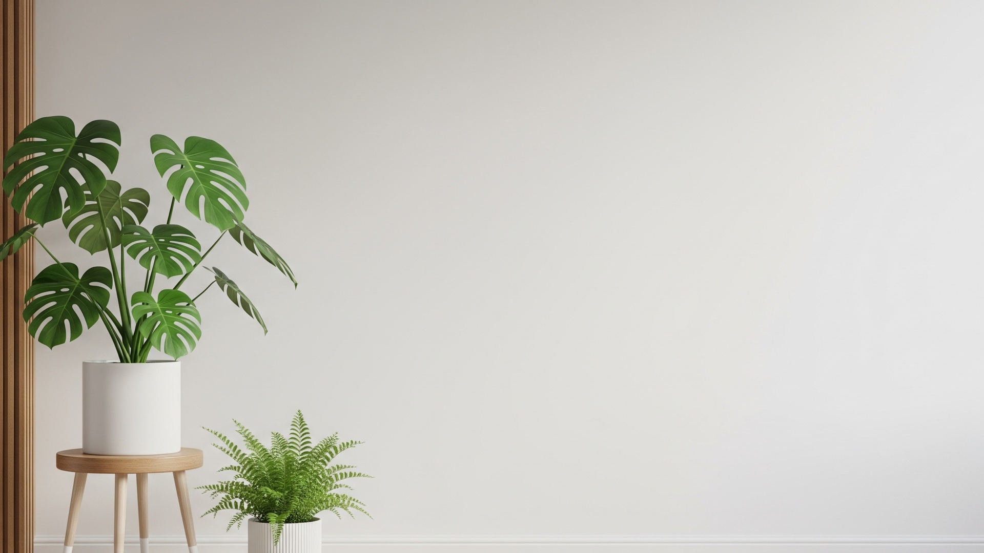 白い壁と二つの観葉植物